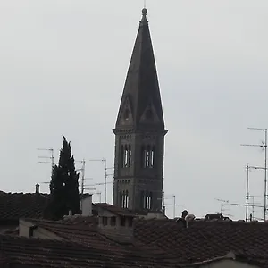 Venere Firenze